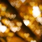 Fall in love3